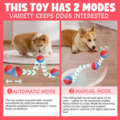 Smart Interactive Dog Toy, Chew Resistant, Dental Care, Outdoor, Rechargeable, for Small and Large Dogs Stri Charged Cat Ball Toy Physical Strength Automatic Kitten Interactive Balls Scaredy Crow Kicker Cat Toy Inter Cat Cats Fishing Rod Feather Aut Dog