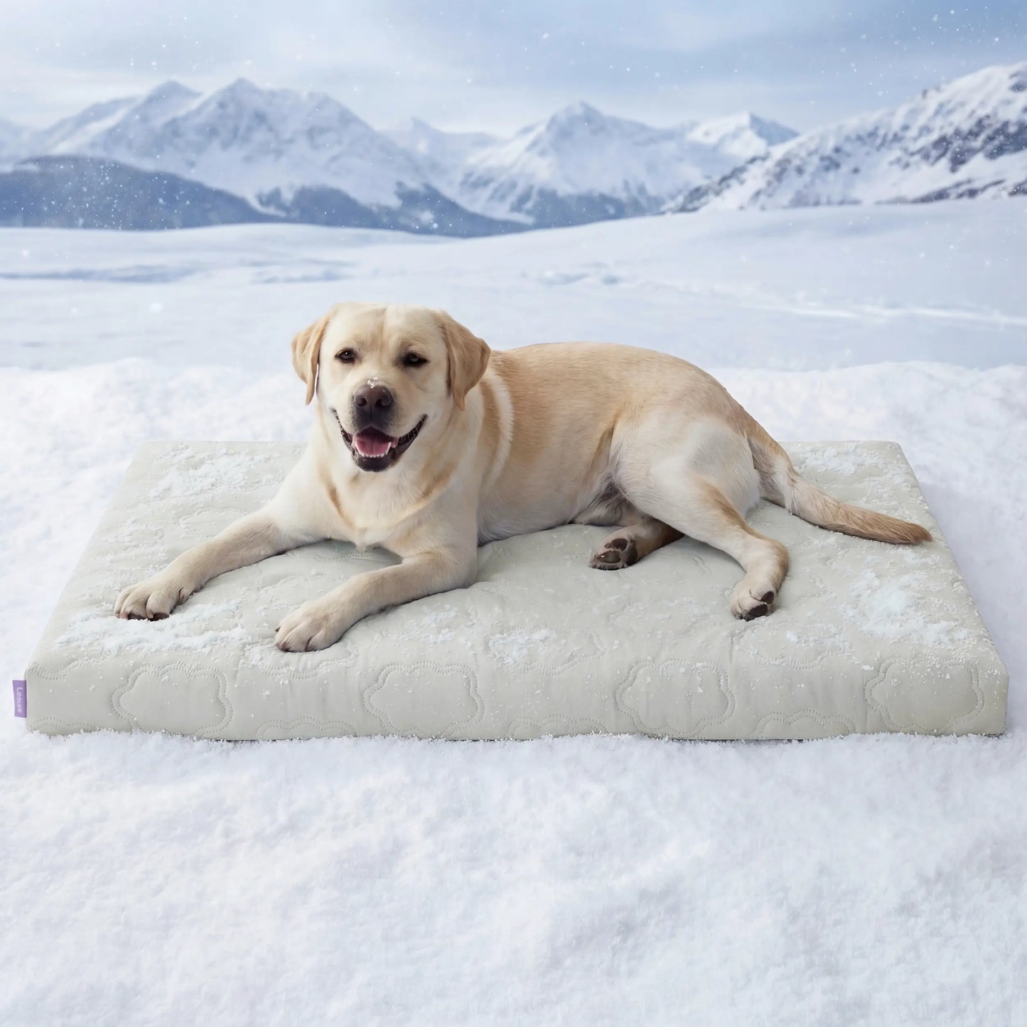 【Up to $20 Off】Bedsure Cooling Thin & Thick Mat for Dogs – Q-MAX>0.4 Washable Pet Cooling Pad, No Gel, No Electric, Non-Slip Summer Crate Bed for Large Dogs,Deals for You Days