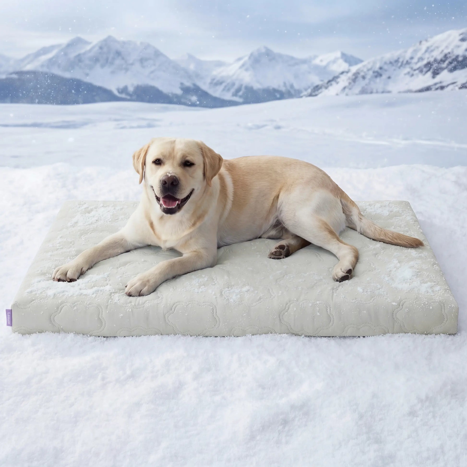 【Up to $20 Off】Bedsure Cooling Thin & Thick Mat for Dogs – Q-MAX>0.4 Washable Pet Cooling Pad, No Gel, No Electric, Non-Slip Summer Crate Bed for Large Dogs,Deals for You Days