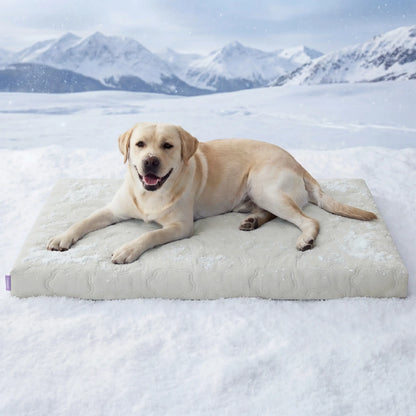 【Up to $20 Off】Bedsure Cooling Thin & Thick Mat for Dogs – Q-MAX>0.4 Washable Pet Cooling Pad, No Gel, No Electric, Non-Slip Summer Crate Bed for Large Dogs,Deals for You Days